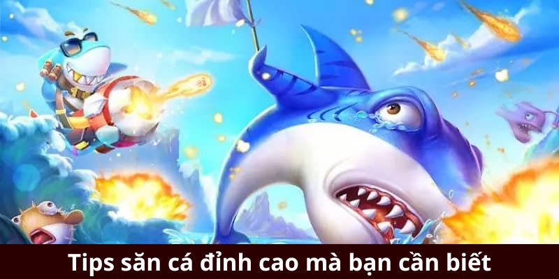 Tips săn cá đỉnh cao mà bạn cần biết