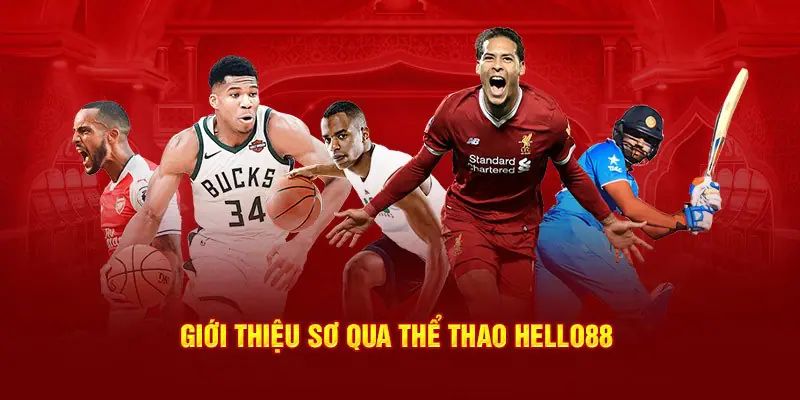 Thể thao Hello88 mang đến nhiều trận đấu vô cùng hấp dẫn