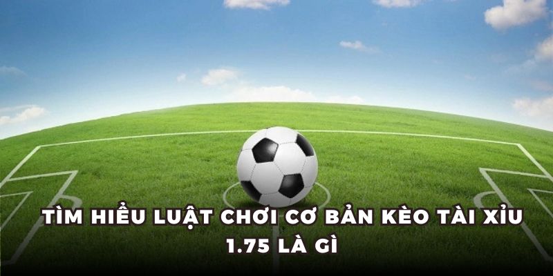 Tìm hiểu luật chơi cơ bản kèo tài xỉu 1.75 là gì